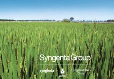 Syngenta Group pirmasis pusmetis – finansiškai stiprus
