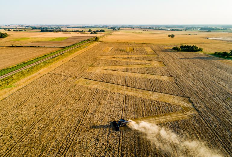 Rekordinis EWA atspaudas javų lauke