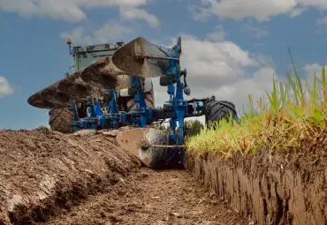 Överum vėl sugrįžo į švedų rankas