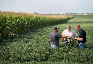 Syngenta panaudos dirbtinio intelekto potencialą, kuriant naujos kartos tvarius pasėlių apsaugos sprendimus