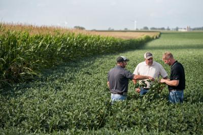 Syngenta panaudos dirbtinio intelekto potencialą, kuriant naujos kartos tvarius pasėlių apsaugos sprendimus