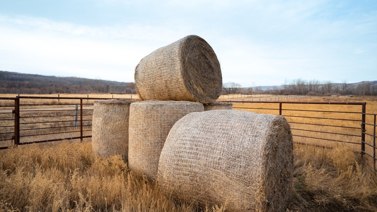 CNH investuoja į aplinkai draugišką ritinių rišimo tinklelį