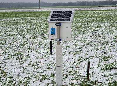 Galimybė nuotoliu stebėti kas vyksta žiemą šaknų lygyje