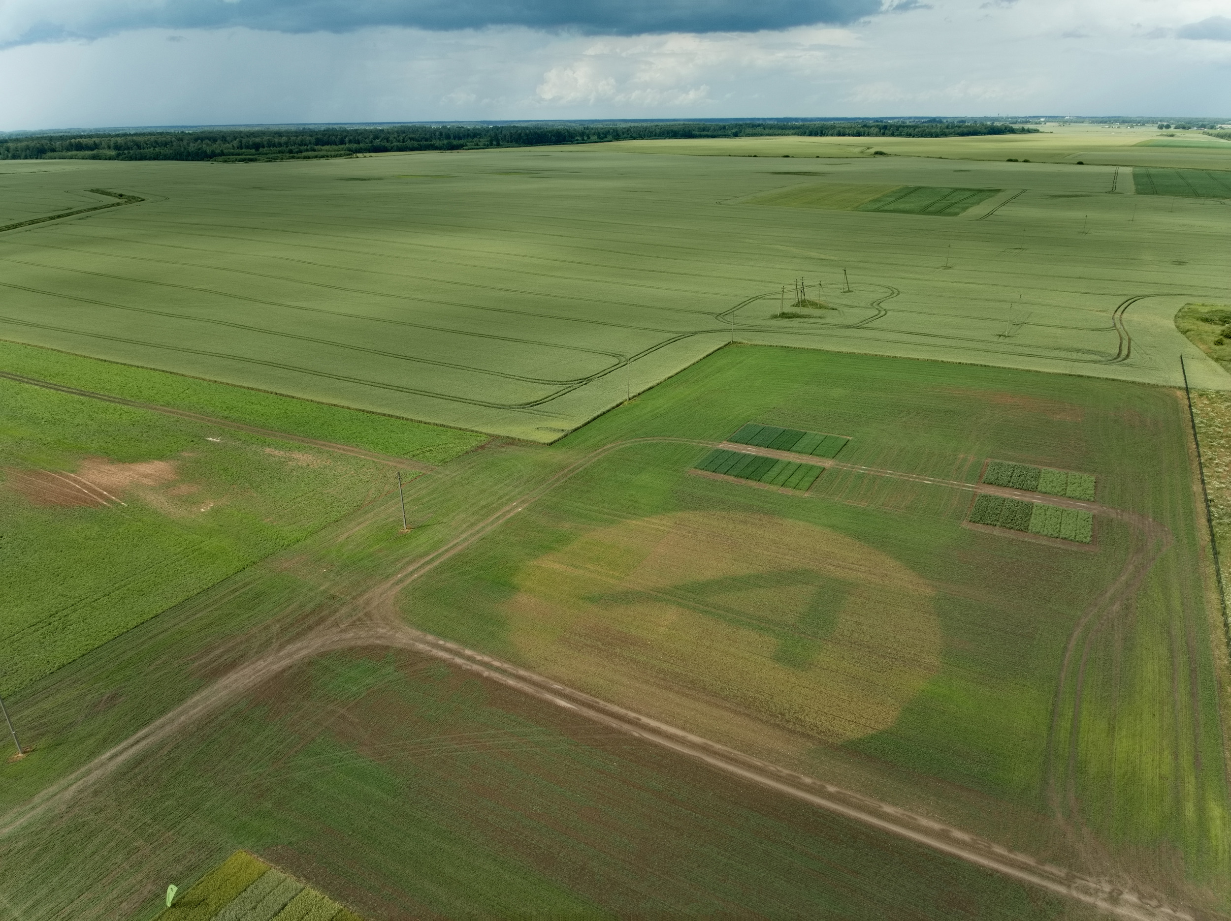 Įmonė Agrokoncernas pasirašė bendradarbiavimo sutartį su Lietuvos žaliuoju aljansu