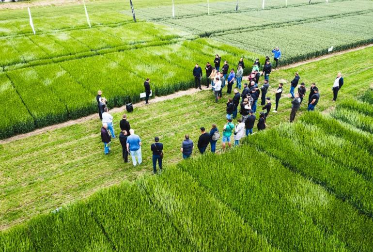 Eksperimentai laukuose pasiteisina: žinios padeda taupyti išlaidas ir didinti derlių