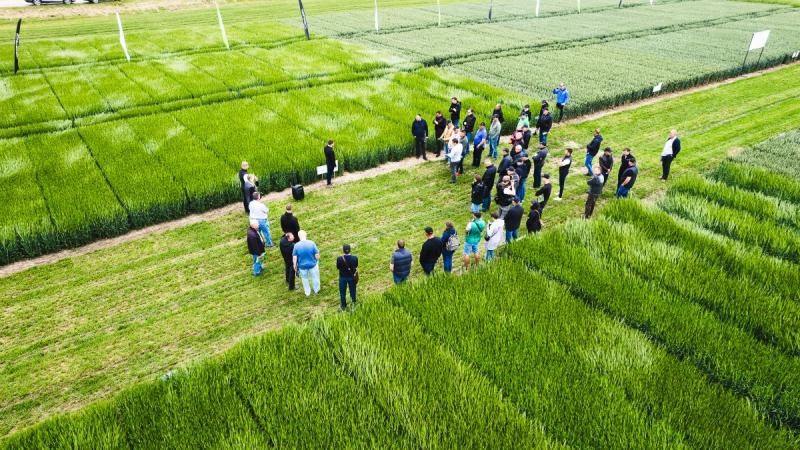 Eksperimentai laukuose pasiteisina: žinios padeda taupyti išlaidas ir didinti derlių