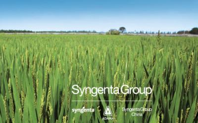 Susivienijo: po Syngenta Group stogu trys įmonės