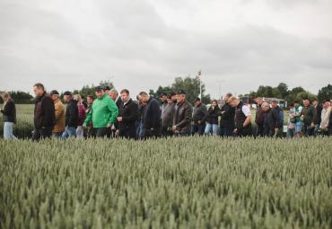 Didžiosiose lauko dienose – dėmesys grūdų kokybės gerinimui