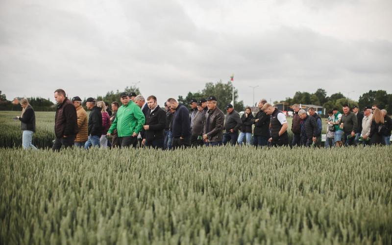Didžiosiose lauko dienose – dėmesys grūdų kokybės gerinimui