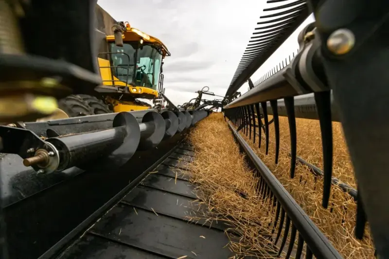 Honey Bee plečia veiklą Europoje