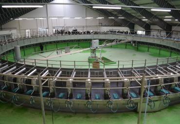 Bendrovė Kiemeliai žengia į naują pienininkystės erą su Baltijos šalyse didžiausia melžimo karusele