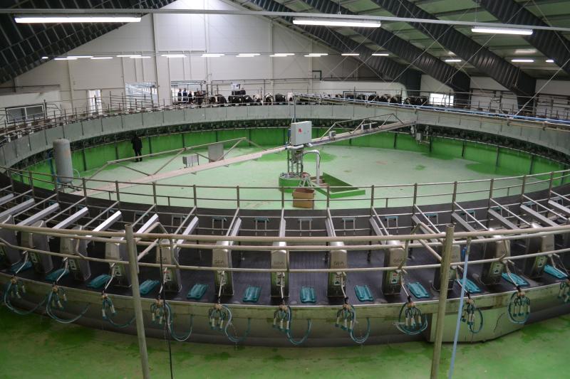 Bendrovė Kiemeliai žengia į naują pienininkystės erą su Baltijos šalyse didžiausia melžimo karusele