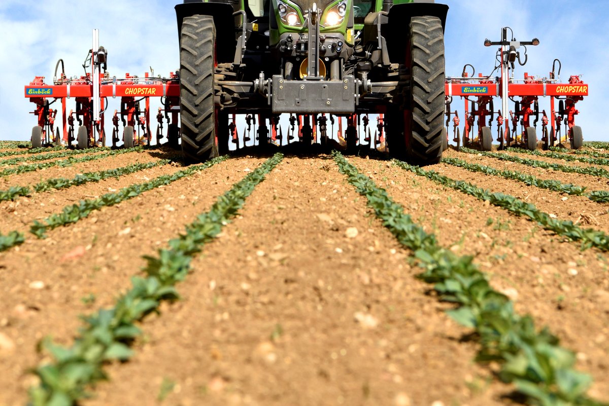 Dvi kameros – išskirtiniam tarpueilių kultivatoriaus tikslumui užtikrinti