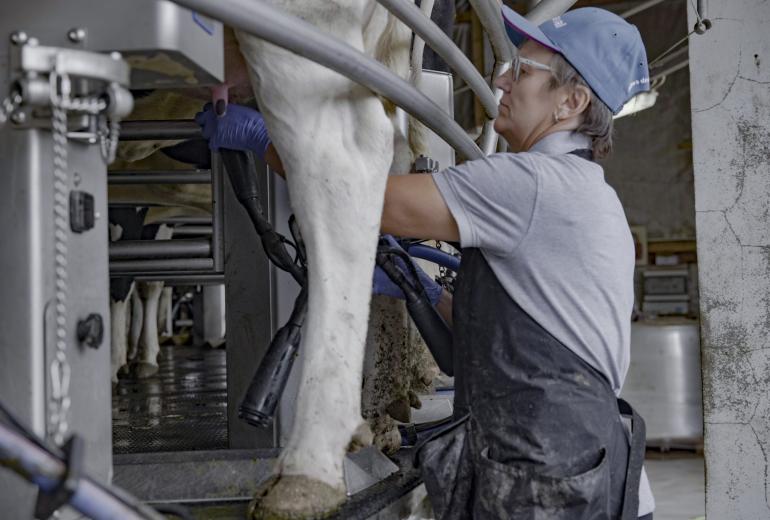 Tiksliosios technologijos jau galimos ne tik žemdirbystėje, bet ir pieno gamyboje