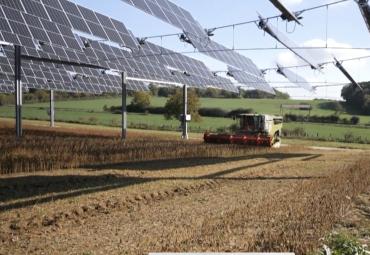 Įmanoma: atsinaujinančios energijos gamyba ir javų auginimas tame pačiame plote