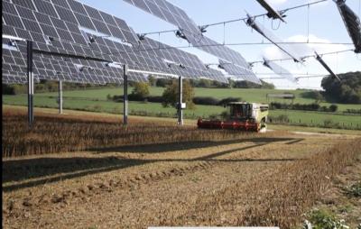 Įmanoma: atsinaujinančios energijos gamyba ir javų auginimas tame pačiame plote