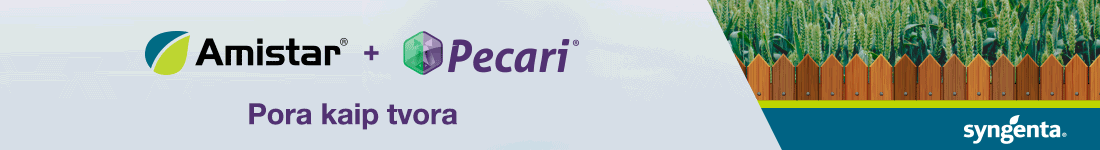 Profi top banner