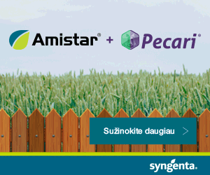 profi banner