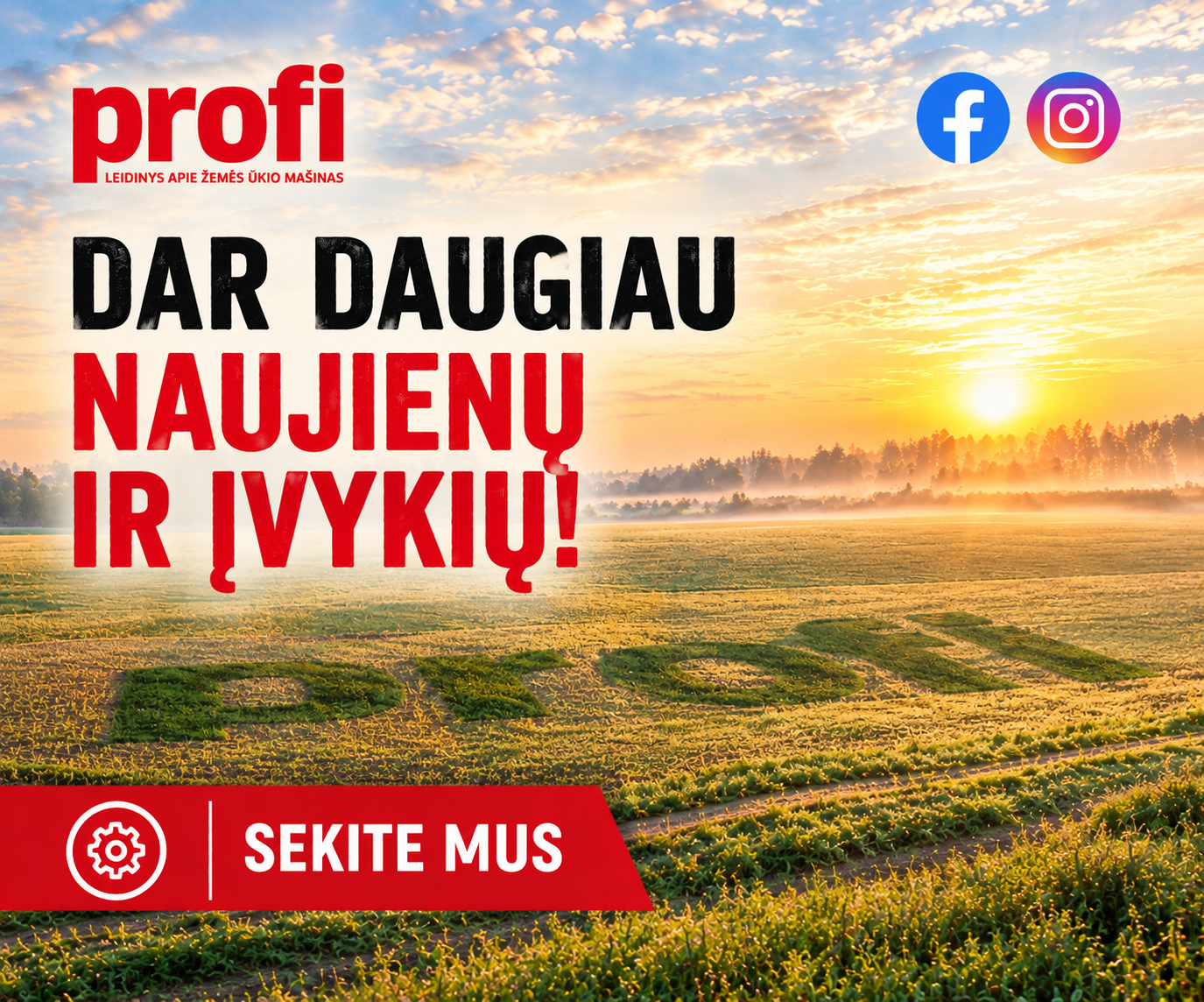 FB-Profi